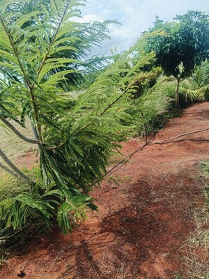 Plot Area in  Plot at Jangamakote – for Sale