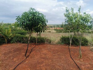 Plot Area in  Plot at Jangamakote – for Sale