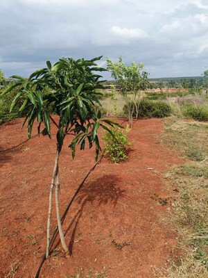 Plot Area in  Plot at Jangamakote – for Sale