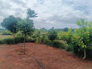 Plot Area in  Plot at Jangamakote – for Sale
