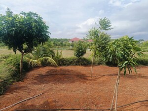 Plot Area in  Plot at Jangamakote – for Sale