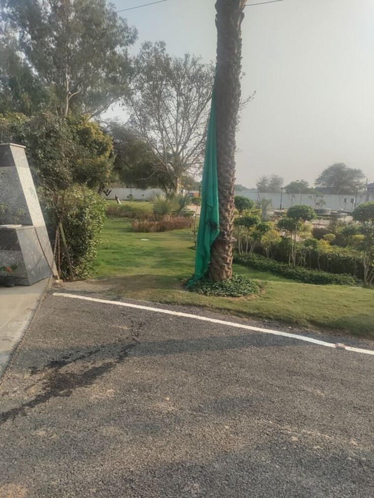 Garden, sector 10  125 Sq.Yd. Plot In Sector 10 Palwal 10526702