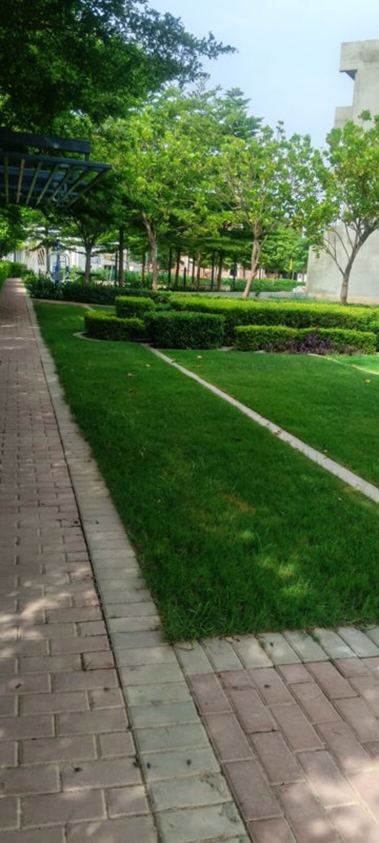 Garden, sector 82  175 Sq.Yd. Plot In Sector 82 Faridabad 10526762
