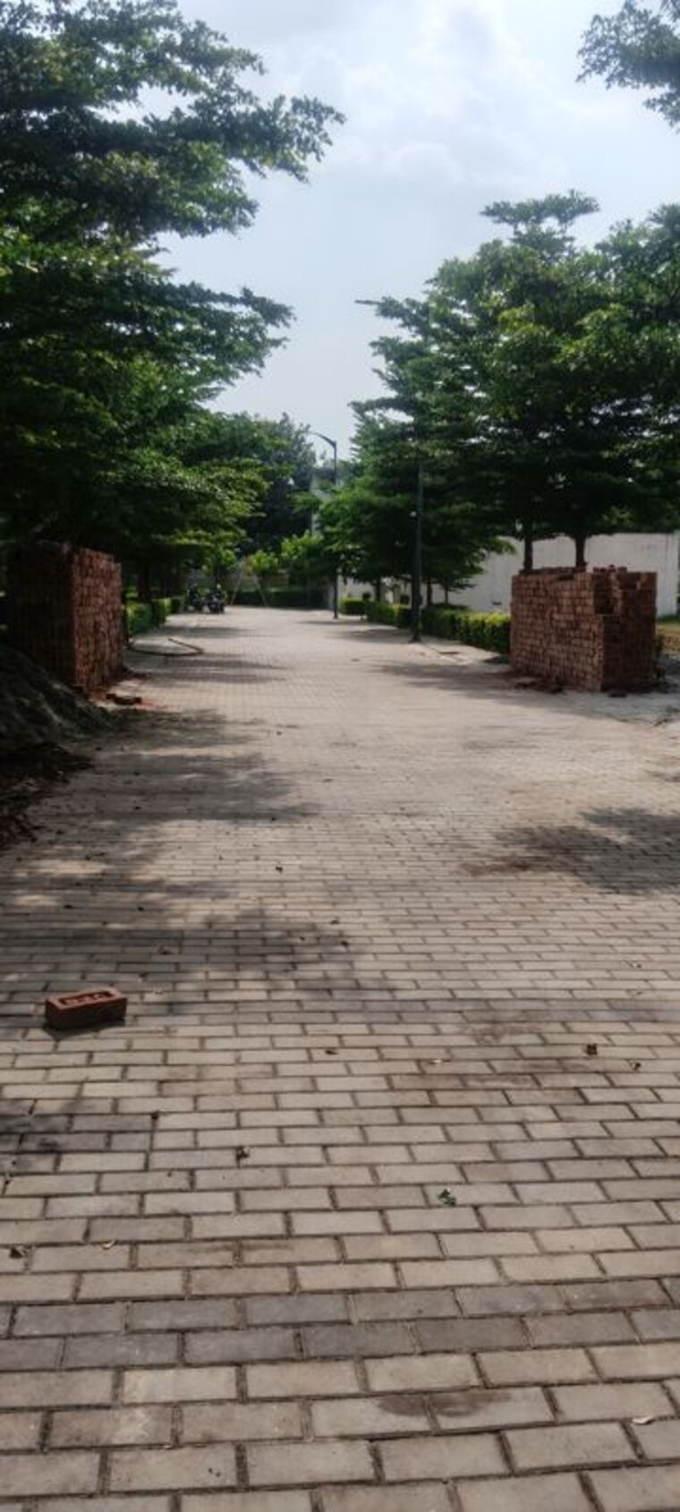 undefined, sector 82  175 Sq.Yd. Plot In Sector 82 Faridabad 10526762