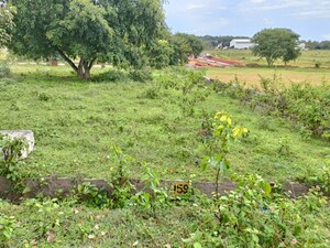 Plot Area in  Plot at Tarabahalli – for Sale