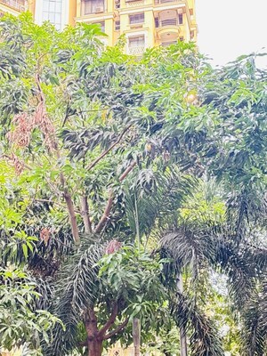 2 BHK Apartment – Garden View at Mulund West - for Rent