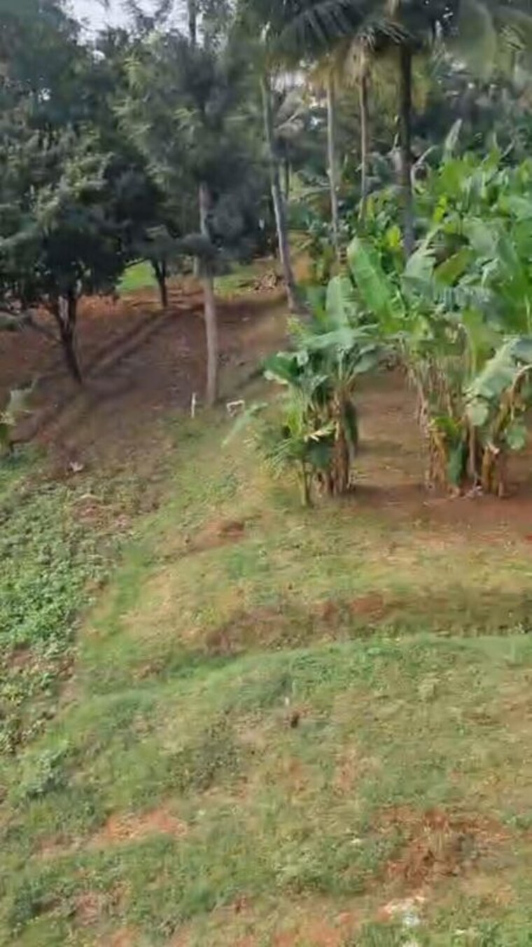Garden, vishuddh-prakruthi 3 Bedroom 2500 Sq.Ft. Villa In Kanakapura Road Bangalore 10526970
