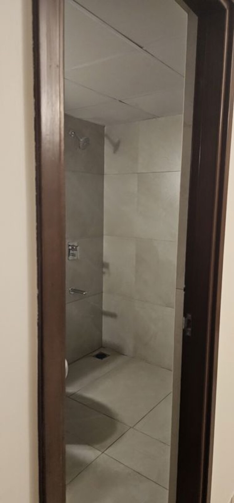 Bathroom, dnr-spring-leaf 3 Bedroom 2000 Sq.Ft. Apartment In Koramangala Bangalore 10498796