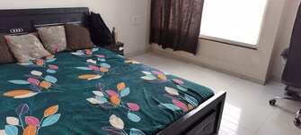 2 BHK + Prayer Room,Servant Room,Study Room,Extra Room Apartment For Rent in Vilas Javdekar Prudentia Towers in Wakad, Pune