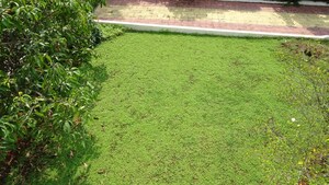 3 BHK Apartment – Garden View at Soham Eternity, Aundh - for Rent