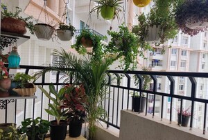 Balcony in 2 BHK Apartment at Prestige Lakeside Habitat Villas, Gunjur – for Rent