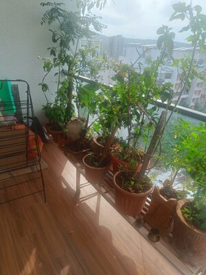 Balcony in 2 BHK Apartment at Buttepatil Gulab Shilp, Warje – for Rent