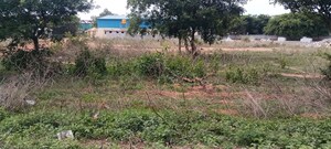 Industrial Plot For Sale in Malur