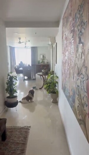 Bathroom in 4 BHK Apartment at DLF The Belaire, Sector 54 – for Sale