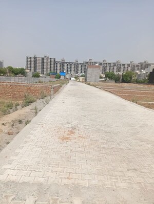 Plot Area in  Plot at Sector 88 – for Sale