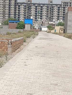 Plot Area in  Plot at Sector 88 – for Sale