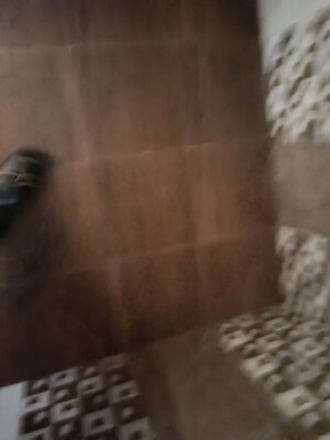 Bathroom in 2 BHK Apartment at Space Ashley Towres, Mira Road – for Rent