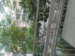 Balcony in 4 BHK Builder Floor at Jasola – for Rent