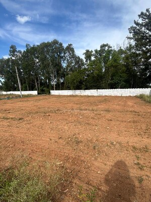 Plot Area in  Plot at Bidadi – for Sale