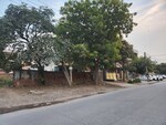 350 Sq.Yd. Plot in Sector 8
