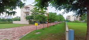 4 BHK Apartment For Rent in BPTP Amstoria Country Floor, Sector 102