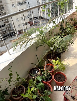 2 BHK Apartment For Sale in Klassik Benchmark, Bannerghatta Road