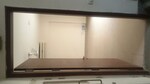3 BHK + Prayer Room,Servant Room,Study Room,Extra Room,Basement,Store Room 1600 Sq.Ft. Apartment in Emaar Emerald Floors