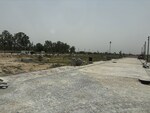 180 Sq.Yd. Plot in Amolik Aster Woods