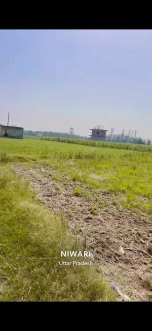 Plot For Sale in Niwari