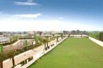 250 Sq.Yd. Plot in Sector 8