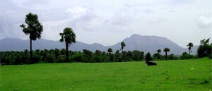 Plot Area in  Land at Bhanur – for Sale