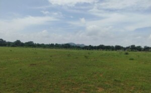 Plot Area in  Land at Bhanur – for Sale