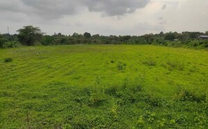  Land For Sale in Bhanur