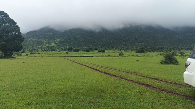 undefined, kamshet  10000 Sq.Ft. Plot In Kamshet Lonavla 10530703