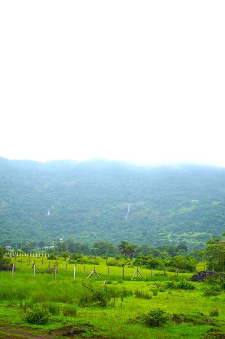 undefined, kamshet  10000 Sq.Ft. Plot In Kamshet Lonavla 10530703