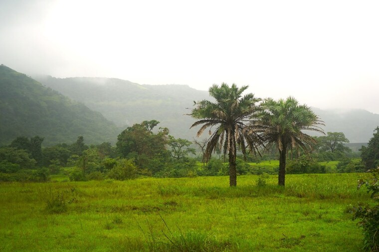 undefined, kamshet  10000 Sq.Ft. Plot In Kamshet Lonavla 10530703
