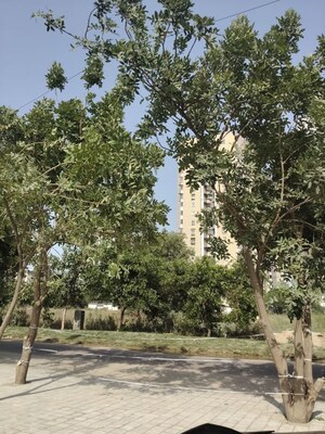 Shop – Exterior View View at SKA Arcadia, Wave City - for Sale