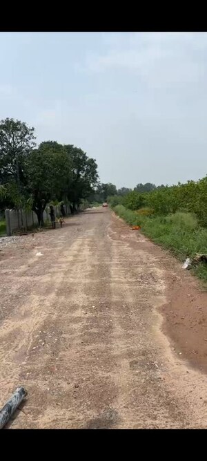  Plot For Sale in Dankaur