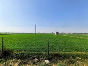 Plot Area in  Plot at Pataudi Road – for Sale