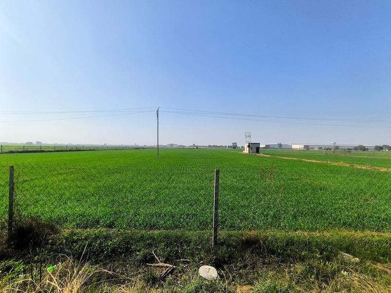 undefined, pataudi road  150 Sq.Yd. Plot In Pataudi Road Gurgaon 10531053