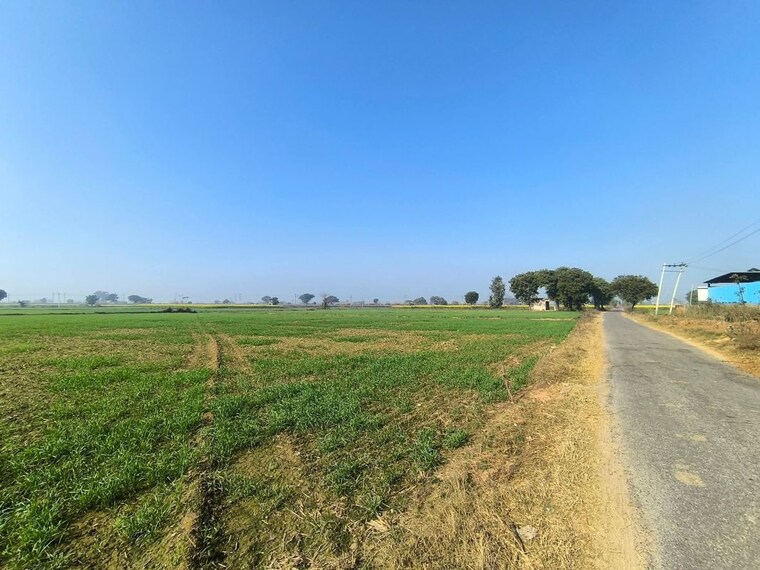 undefined, pataudi road  150 Sq.Yd. Plot In Pataudi Road Gurgaon 10531053
