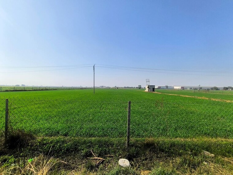 undefined, pataudi road  50 Sq.Yd. Plot In Pataudi Road Gurgaon 10531168