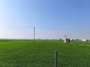 Plot Area in  Plot at Pataudi Road – for Sale