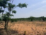 200 Sq.Yd. Plot in Aspire Kingsdell