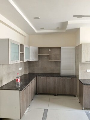 Kitchen in 4 BHK Builder Floor at Sector 18 – for Rent