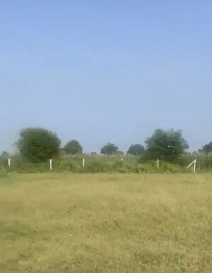 Plot Area in  Land at Naugaon – for Sale