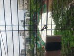 2 BHK + Extra Room 555 Sq.Ft. Apartment in Shravasti Coop Society