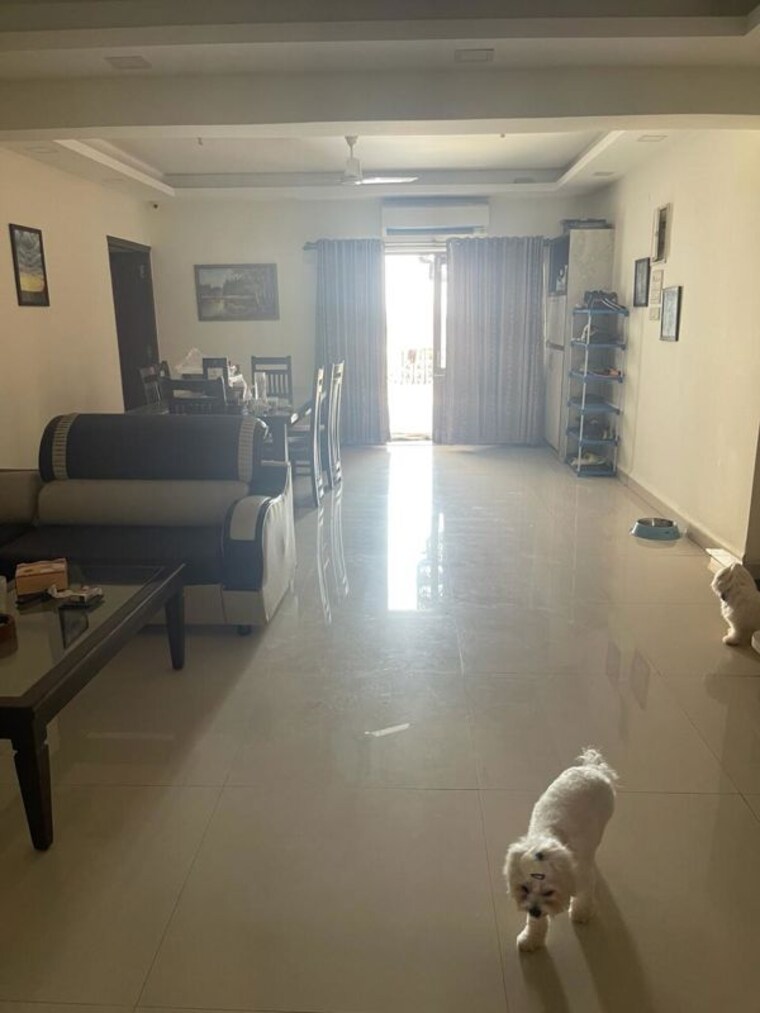 Living Room, dona paula 5 Bedroom 2500 Sq.Ft. Apartment In Dona Paula Goa 10534036