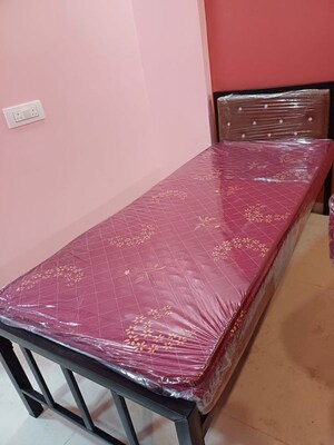  Pg For Rent in Ghansoli