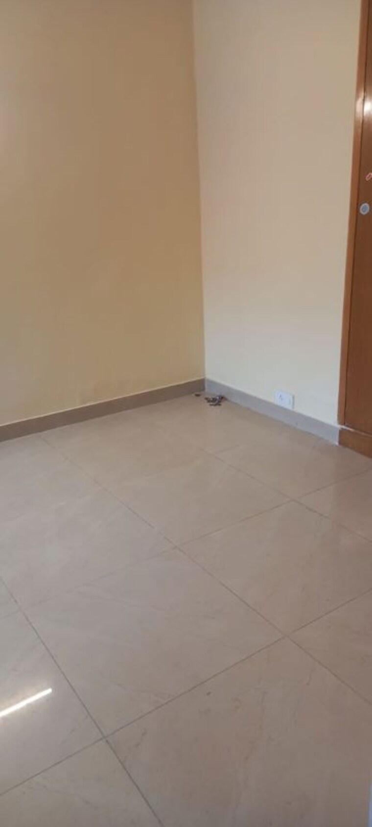 Bedroom, ip extension 2 Bedroom 950 Sq.Ft. Apartment In Ip Extension Delhi 10534342